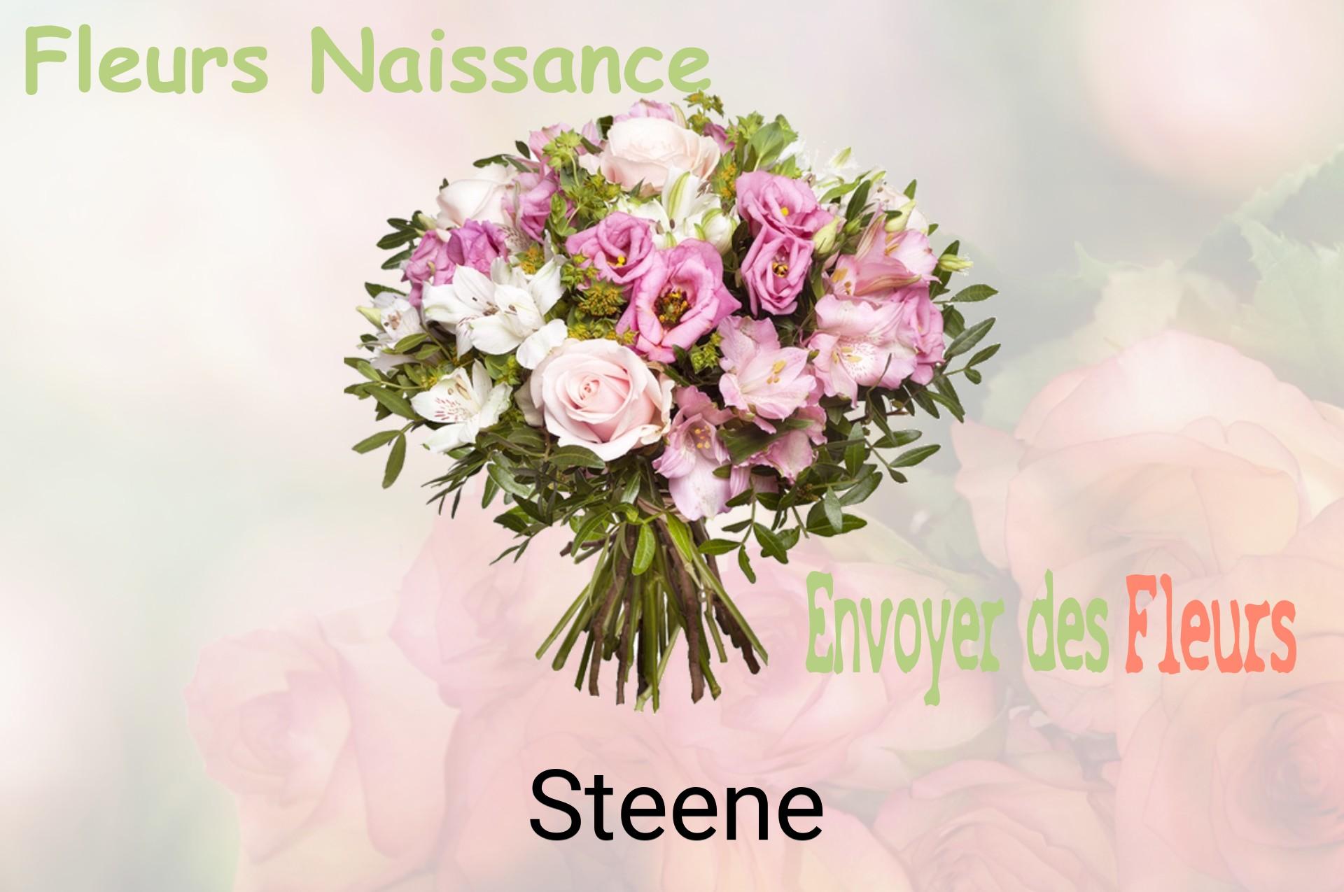 Bouquet de fleurs de naissance livré à Steene